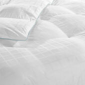 Live Comfortably® 300 Thread Count Kent Plaid Cooling Fiber Down Alternative Comforter, King